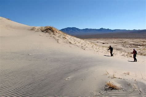 Kelso Dunes