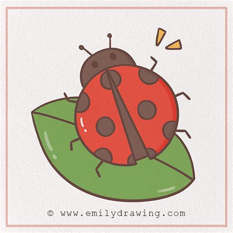 How To Draw A Ladybug Step By Step