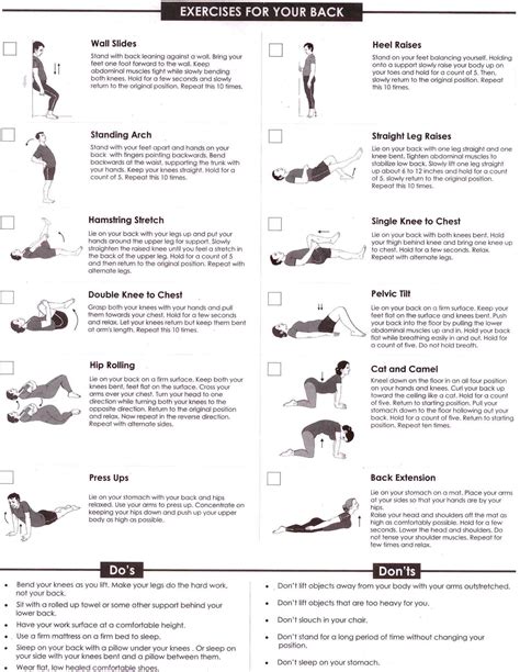 Discover Back Pain Relief With Effective Back Pain Exercises | Lower ...