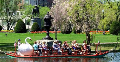 Ride an iconic Swan Boat at the Public Garden - Trendradars Latest