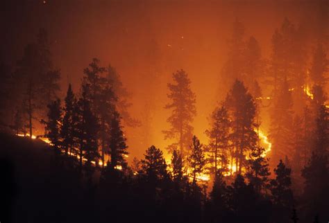 Wildfire risk 'extreme' in Western Washington; Higher than Eastern ...