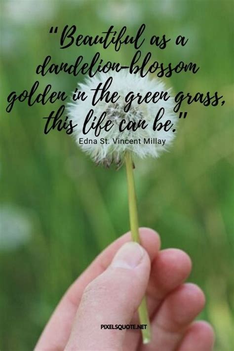 Dandelion Wallpaper With Quote