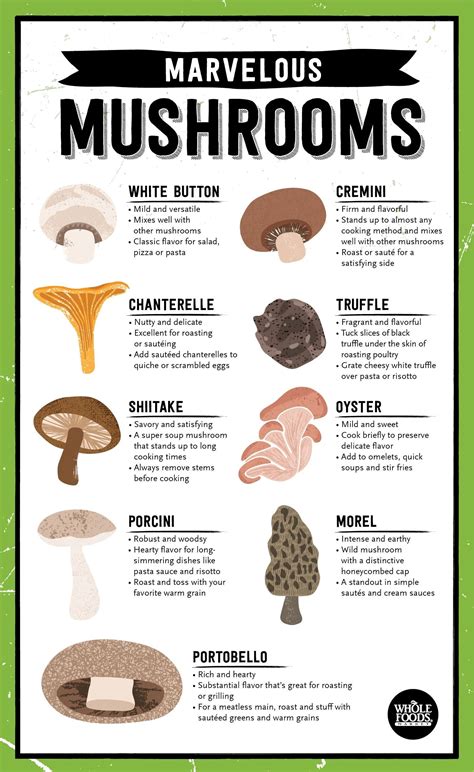 15 Different Mushrooms and How to Cook Them | Stuffed mushrooms, Food ...