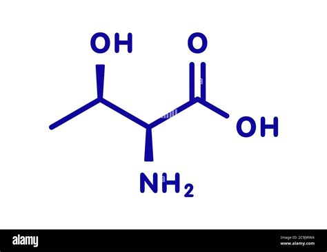 Threonine (l-threonine, Thr, T) amino acid molecule. Blue skeletal ...