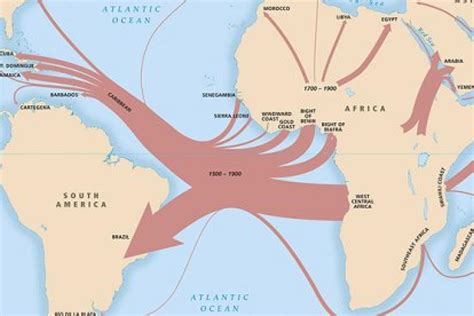 Transatlantic Slave Trade Routes Map