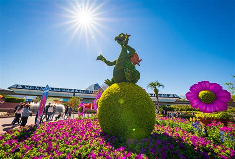 2022 Epcot Flower & Garden Festival: Merchandise, Topiaries & New ...