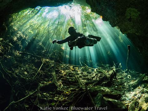 Cenotes Diving - Bluewater Dive Travel