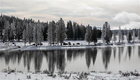 Yellowstone National Park 2019-2020 Winter Season Is Here - Yellowstone ...