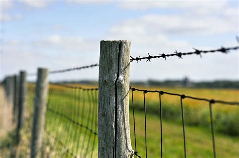 Types of Fencing for Your Small Farm