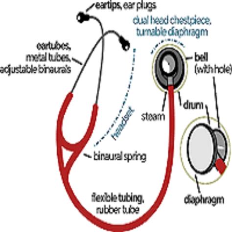 STETHOSCOPE