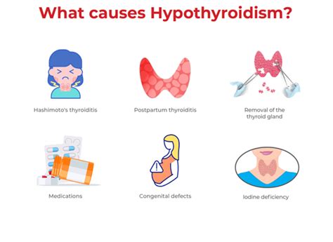 Understanding Thyroid Problems - Causes, Symptoms & Treatment - Dr Lal ...