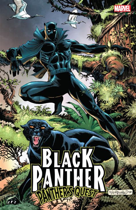 Black Panther: Panther's Quest (Volume) - Comic Vine