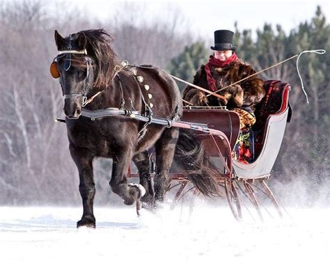 Sleigh ride in the snow I wish we had snow. Would love a sleigh ride. I ...