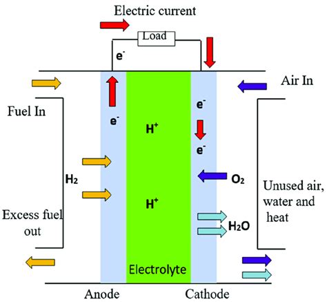 The working principle of PEMFC. | Download Scientific Diagram