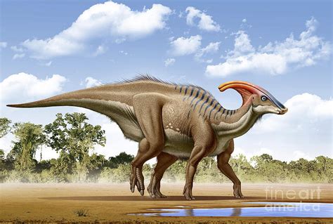 Parasaurolophus | Animaux préhistoriques, Art de dinosaures, Dinosaure