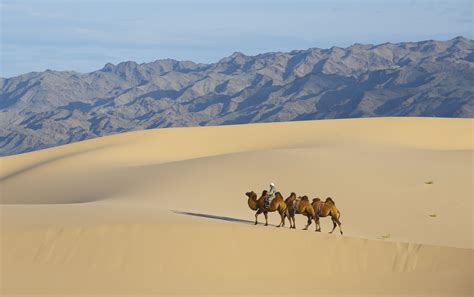 Gobi Desert Mongolia Itinerary from India: How to Reach, Other ...