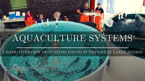 Aquaculture Systems - A Basic Overview - YouTube