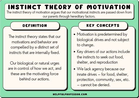 Instinct Theory of Motivation: Examples & Definition (2024)