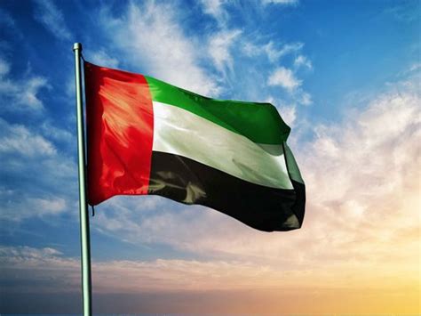 Watch: How Dubai Police have tailored the UAE flag since 1971 | Year Of ...