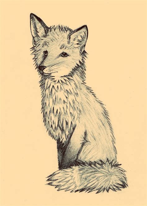 Sitting Fox by Floraella on deviantART