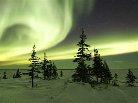 The-Northern-Lights-in-Winter-Churchill-Manitoba-Canada Aurora Borealis ...