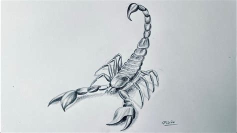 Realistic Scorpion Drawing