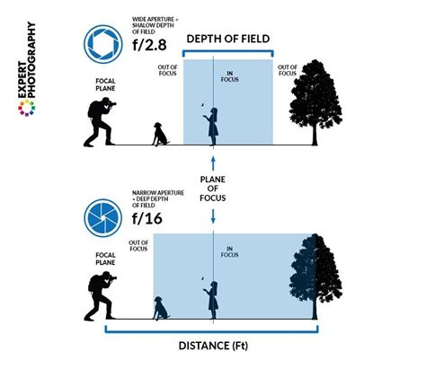 What Is Aperture Understanding Aperture In Photography | expertphotography