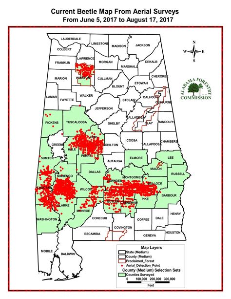 Southern pine beetles on the rise: Pests reach epidemic level in 1 ...