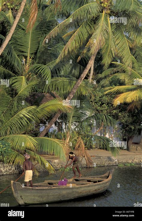 India, Kerala Cochin backwaters Stock Photo - Alamy