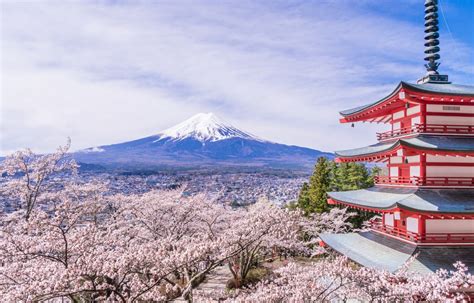 เจดีย์แดง ที่สุดของจุดชมภูเขาไฟฟูจิ | All About Japan