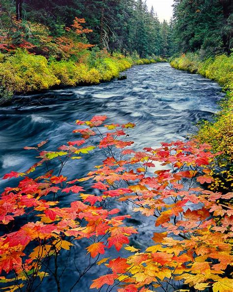 Metolius River Photos Archives - Mike Putnam Photography