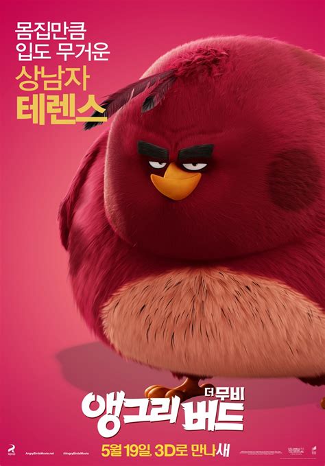 The Angry Birds Movie DVD Release Date | Redbox, Netflix, iTunes, Amazon