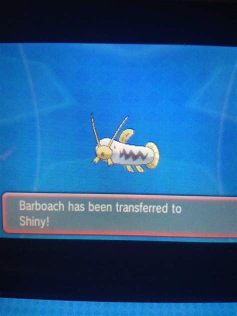 Shiny Barboach after 77 encounters | Pokémon Amino