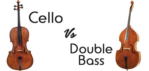 The Cello vs. the Double Bass » All Shore Orchestra