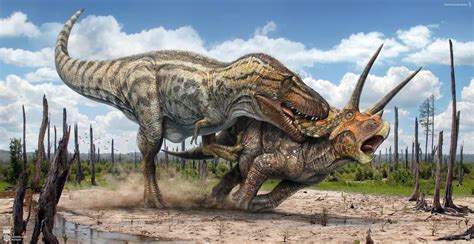 T.rex vs Triceratops by Swordlord3d on DeviantArt | Dinosaur ...