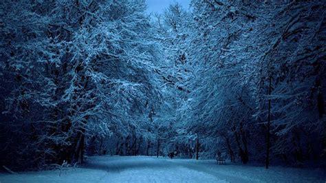 winter pictures free for desktop 1920x1080 | Winter wallpaper, Snow ...