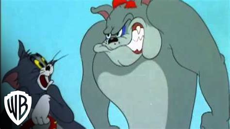 Tom and jerry food fight dvd - lindamini