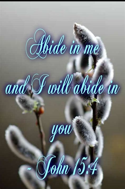 Abide in me and I will abide in you. [John 15:4] | Inspirational ...