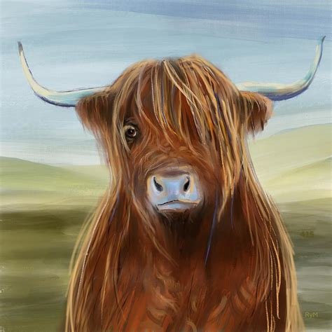 Scottish Highland Cattle Drawing