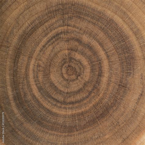 End grain wood rings texture Stock Photo | Adobe Stock