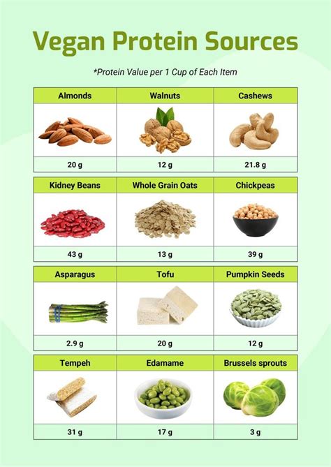 Free Plant Based Protein Food Chart - Download in PDF, Illustrator ...