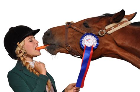 Girl eating carrot with horse PNG image free download - DWPNG.com