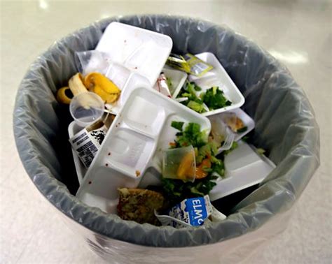 My Kid Ate Out Of The Garbage - Tiffany Bluhm