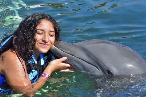 How do I swim with Dolphins in Cancun? | Dolphin Discovery