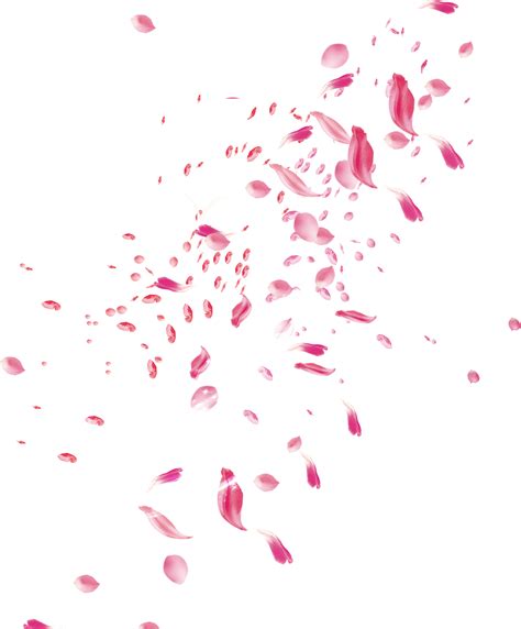 Pink Petals Png - Png-stock.com