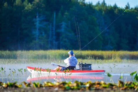 Minnesota Fishing: The Complete Guide (Updated 2022)