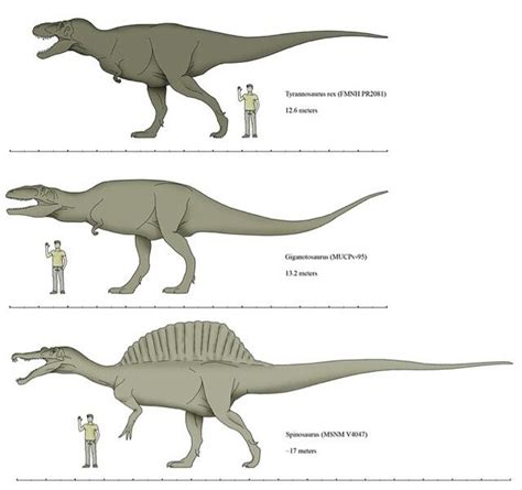 Jurassic Park Dino Comparison | Jurassic park, Spinosaurus ...