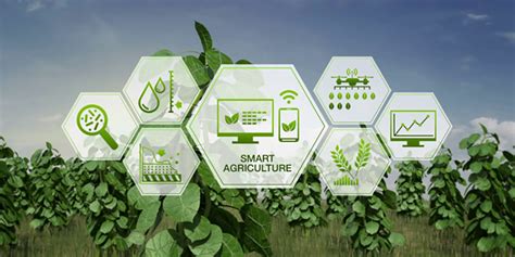 How the IoT is Transforming the Future of Agriculture - Cassia Networks