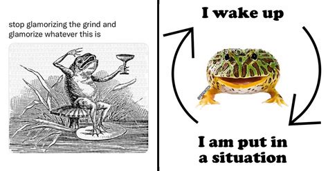 A Quaint Basket of Frog Memes For Frog Enthusiasts | Flipboard