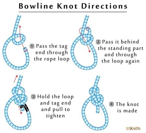 Bowline Knot | 101 Knots | Bowline knot, Survival knots, Knots